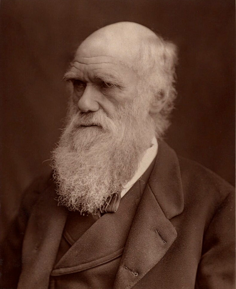 Charles Darwin Photo
