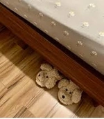 Slippers Under Bed